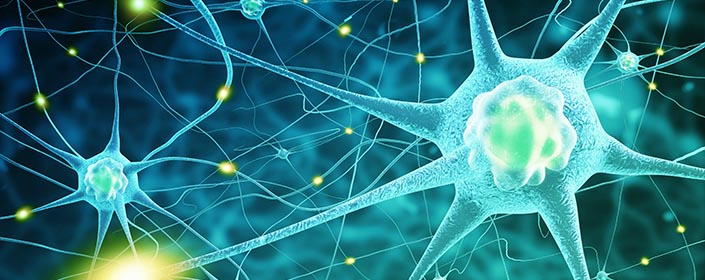 stem cells stroke brain damage