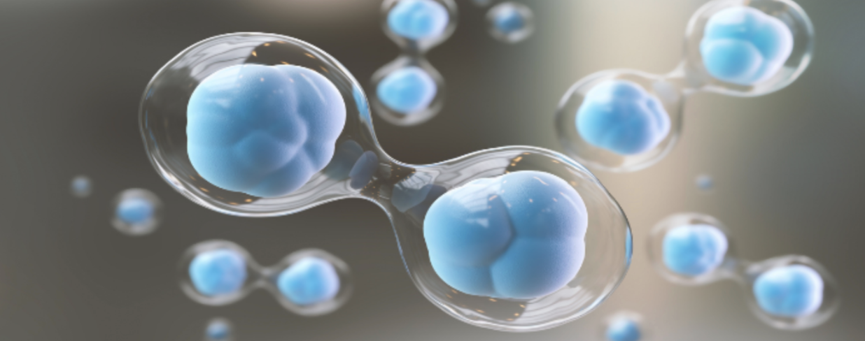 What Are Mesenchymal Stem Cells Stemedix Regenerative Medicine