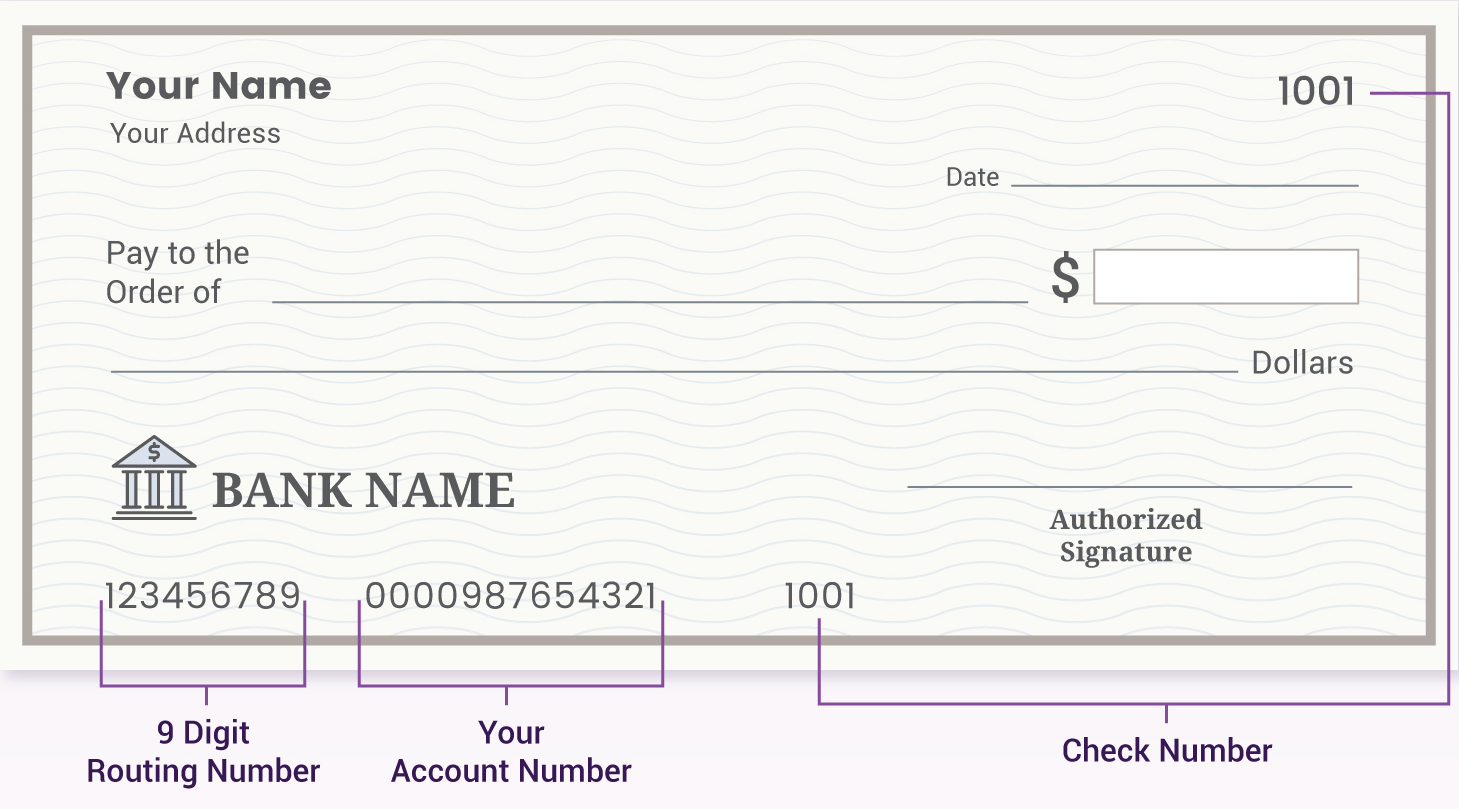 Routing and account number on a check