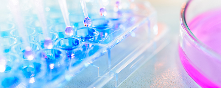 stemedix cell petri dish