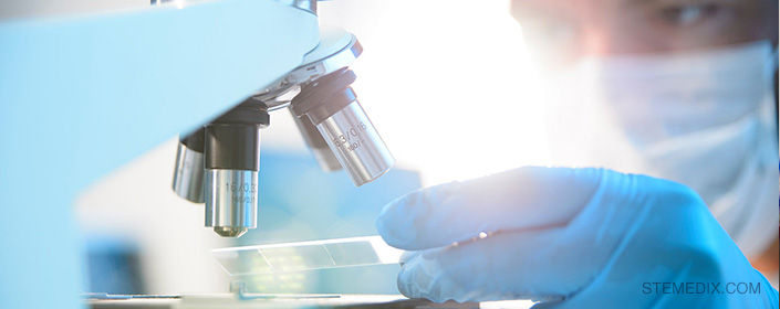 diabetes-bone marrow stem cell research