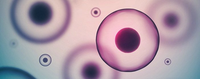 mesenchymal stem cells