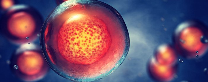 umbilical cord stem cell transplant