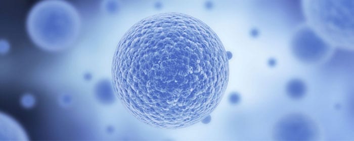 Umbilical Cord Stem Cells Showing Promise For Stem Cell Based Therapies Stemedix 3306