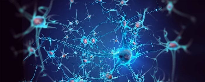 Stem Cells that Secrete Neurotrophic Factors Shown to be Safe in ALS Patients