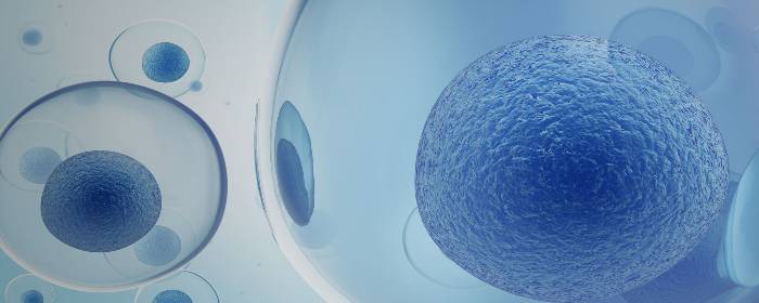 What are Multipotent Stem Cells? - Stemedix