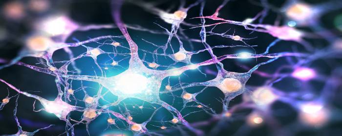 ALS vs MS: How Are Their Symptoms Different?