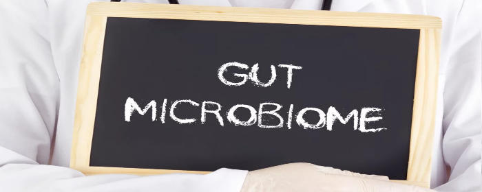 What is a Fecal Transplant & Should You Consider It