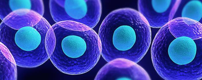 Stem Cells Can Act as Carriers for Therapies