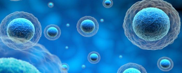 The Value of Perinatal Stem Cells in Treating Conditions