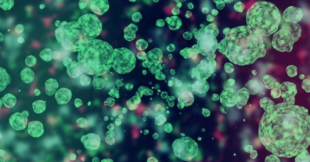 Protecting the Heart and Blood Vessels with Exosomes