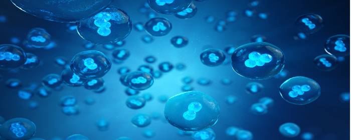 Mesenchymal Stromal Cells are Safe and Well-Tolerated in ALS