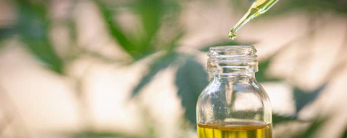 Can CBD Oil Combat Arthritis Pain?