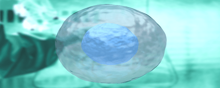 Mesenchymal Stem Cell Treatment for ALS is Safe and Feasible