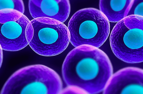 Stem Cell Facts: What They Are & What They Do