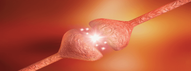 Stem Cell Therapy for Multiple Sclerosis and Neural Damage