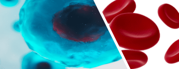 The Differences Between Platelet Rich Plasma (PRP) Therapy and Stem Cell Therapy