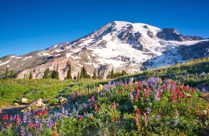 washington-bellevue-top-attractions-mount-rainier-national-park