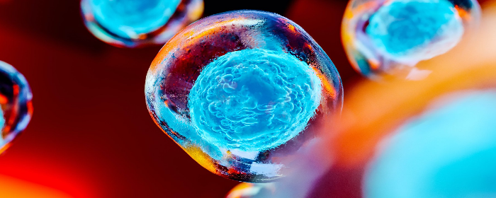 Can Mesenchymal Stem Cells Help Amyotrophic Lateral Sclerosis?