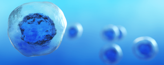 Exploring the Past, Present, and Future Treatment of Multiple System Atrophy