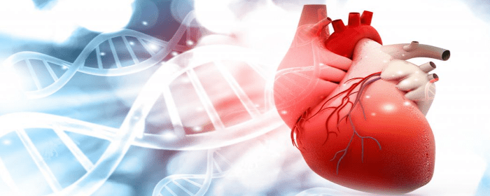 Exploring the Safety and Efficacy of Umbilical Cord Mesenchymal Stem Cells in Patients with Heart Failure