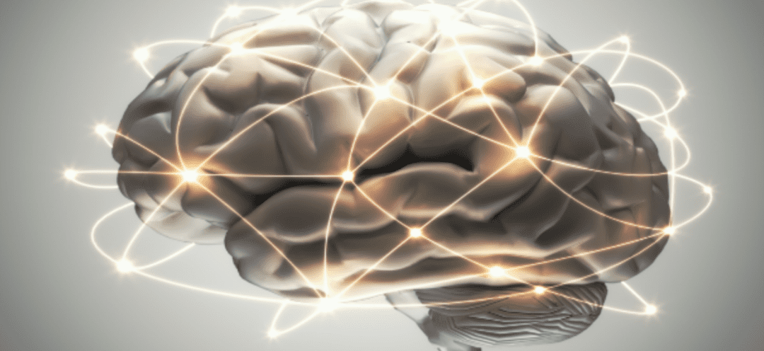 Can Stem Cells Regrow Brain Tissue?