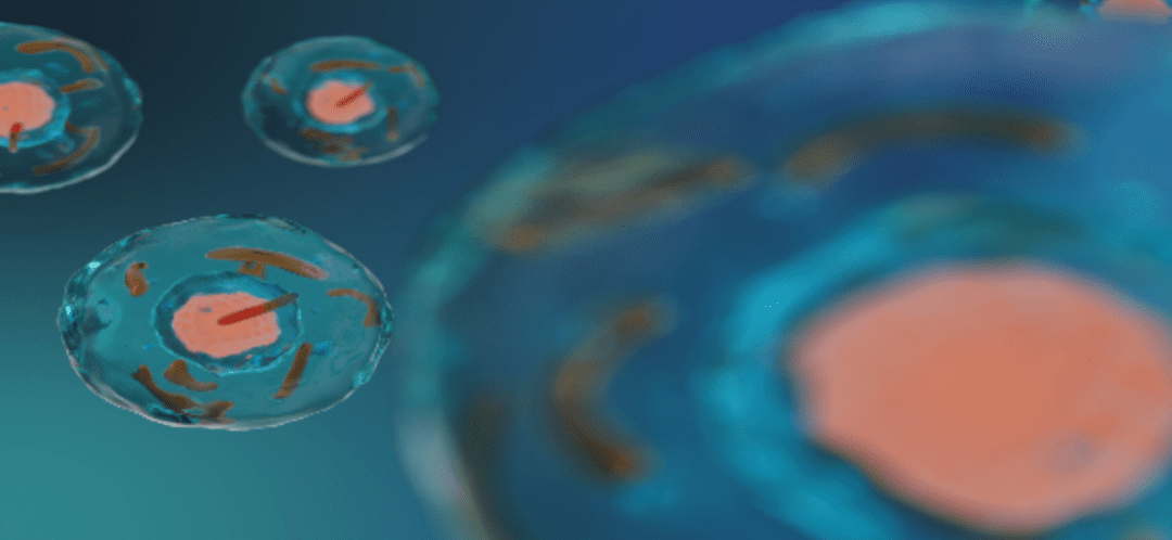 Stem Cell Treatment for Lou Gehrig’s Disease (ALS)