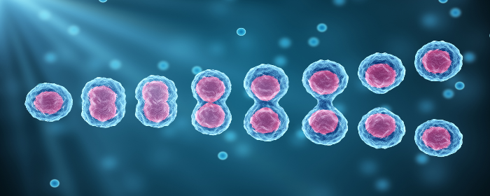 Understanding the Underlying Mechanisms Of Mesenchymal Stem Cell-based Therapy