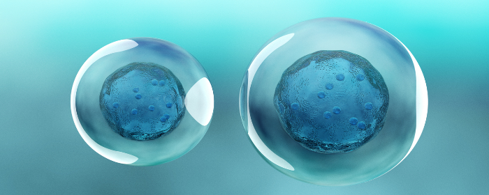 Identifying the Therapeutic Significance of Mesenchymal Stem Cells