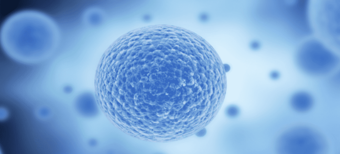 Can Stem Cells Heal Traumatic Brain Injuries?