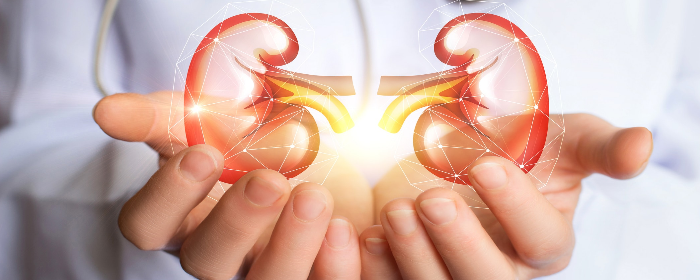 Evaluating Stem Cells As A Treatment Option For Kidney Disease