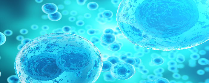 The Efficacy Of Wharton’s Jelly Mesenchymal Stem Cells For Treating Type 2 Diabetes