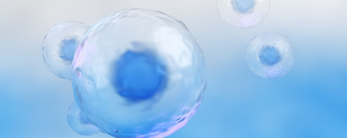 Mesenchymal Stem Cells in Multiple Sclerosis: Recent Evidence from Preclinical to Clinical Studies