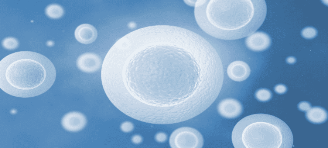 Stem Cell Therapy for Neurological Disorders