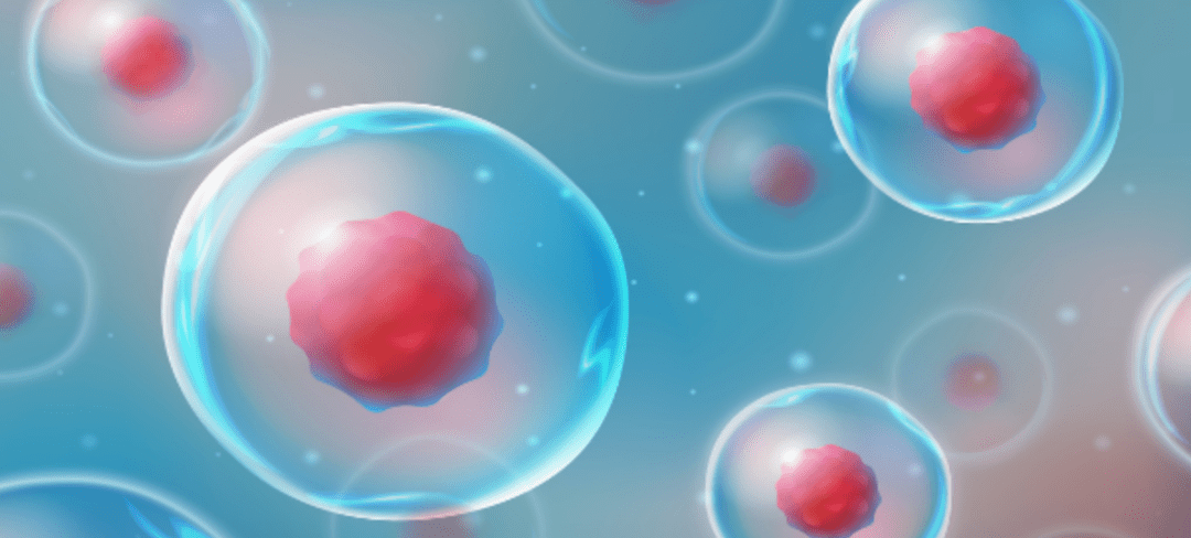 Stem Cell Knee Injections: What to Expect