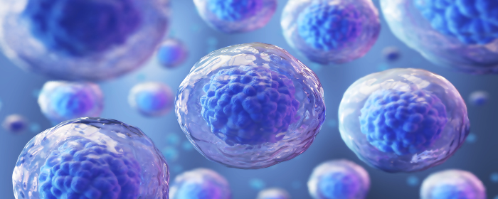 Effects of Mesenchymal Stem Cell-Derived Paracrine Signals and Their Delivery Strategies