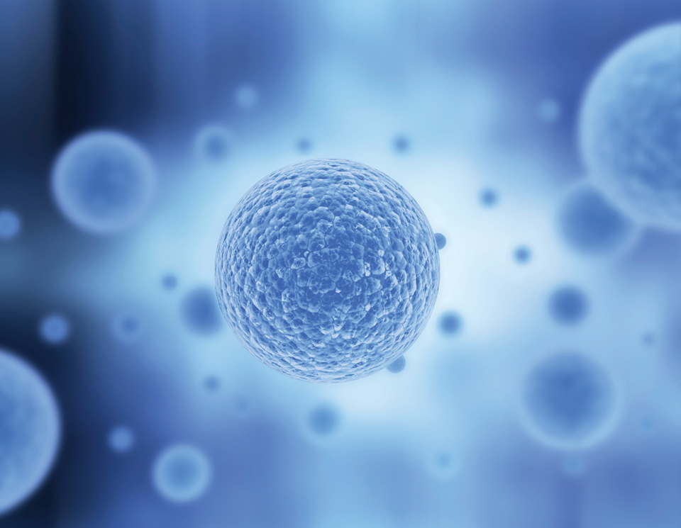 Regenerative Medicine South Tampa FL Regenerative Medicine South Tampa FL