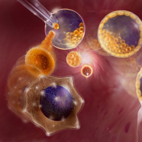 copd (1) Florida Regenerative Medicine