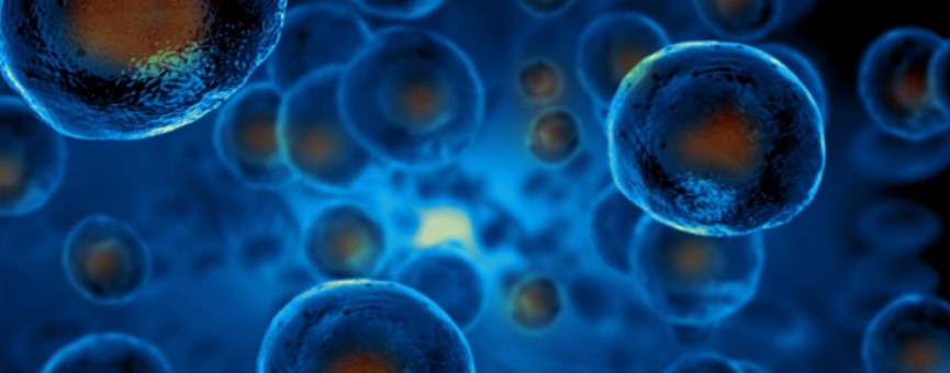 How Does Stem Cell Therapy Work?