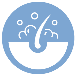procedure icon