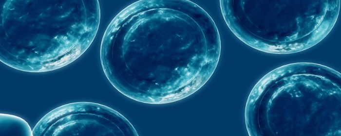 A Review on the Potential of Mesenchymal Stem Cells and Exosomes for Parkinson’s Disease