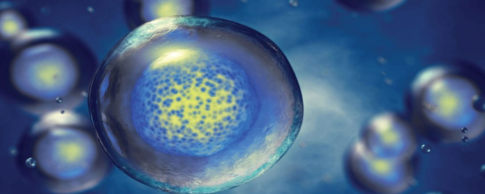 Mesenchymal Stem Cells for Systemic Lupus Erythematosus