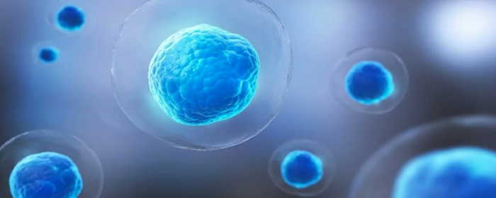 Regenerative Medicine Using Mesenchymal Stem Cells Stemedix