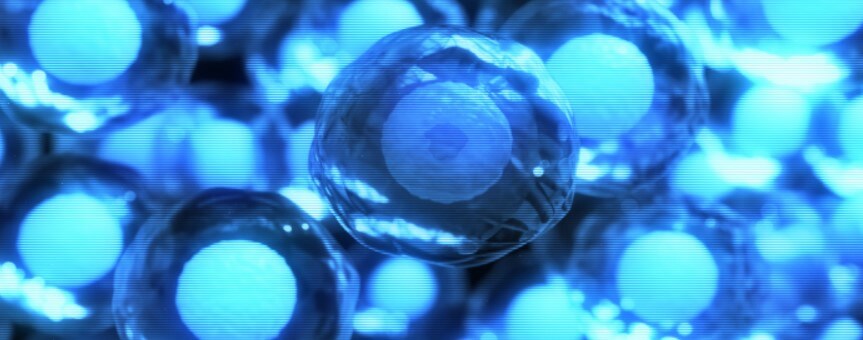 Stem Cell Therapy for Stroke Recovery