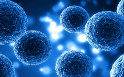 Phase 1 Clinical Trial Investigating the Use of Autologous Adipose Tissue-Derived Mesenchymal Stem Cells for the Treatment of Traumatic Spinal Cord Injury