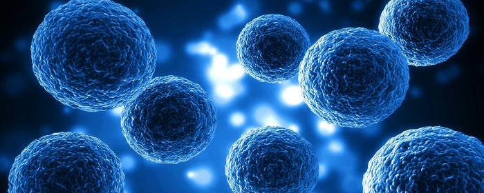 Phase 1 Clinical Trial Investigating the Use of Autologous Adipose Tissue-Derived Mesenchymal Stem Cells for the Treatment of Traumatic Spinal Cord Injury