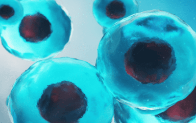 Mesenchymal Stem Cells for Managing Spinal Cord Injuries