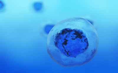 The Healing Benefits of Mesenchymal Stem Cells in Skin Inflammatory Conditions of Atopic Dermatitis and Psoriasis