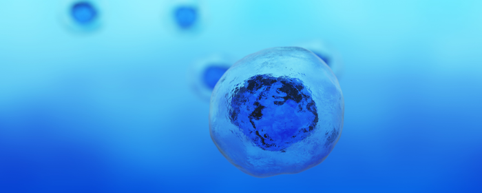 The Healing Benefits of Mesenchymal Stem Cells in Skin Inflammatory Conditions of Atopic Dermatitis and Psoriasis