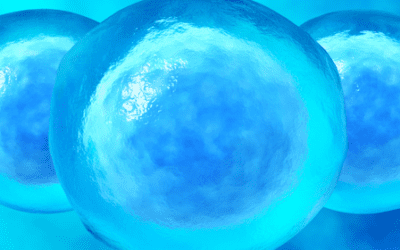 The Safety and Effectiveness of Stem Cell Treatment as an Emerging Approach for ALS